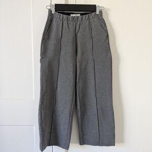 Everlane Pants Womens Size XS Gray The Dream Double Knit Straight Leg Stretch